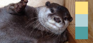 【東方】このブロックの組み合わせ…やちぇ様に見えない？