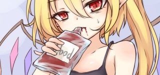 [東方]フラン（たまには新鮮な血が食べたいなあ...）