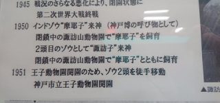 [東方]ゾウの諏訪子