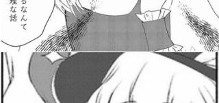 [東方]これは二人とも恐ろしい妖怪ですわ…