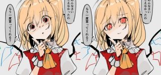 [東方]どっちの妹様が好き？