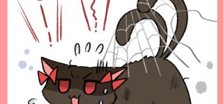 [東方]猫って蜘蛛の巣引っ掛けたらどうするのだろ