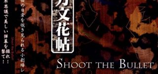 [東方]文花帖系列の新作を遊びたい