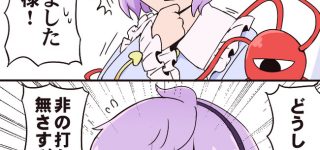 【東方】ここ最近で印象変わったキャラといえば