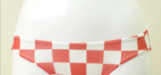 【東方】小鈴ちゃんにプレゼントしたらどう反応するだろうか？