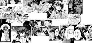 [東方]（ネガ注意）酔蝶華の文ちゃんちょっと害悪過ぎない？