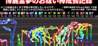 【東方】巫女棒