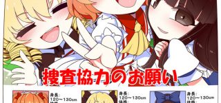 【東方】少女捜索中…