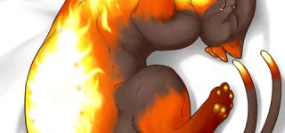 [東方]ねこのおなか