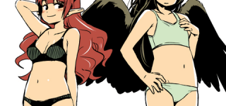 [東方]霊烏路空はまな板であると強く主張します。他