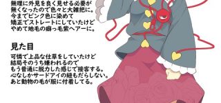 [東方]嫌われるのに慣れたおねえちゃん
