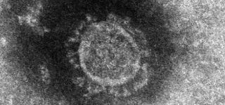 【東方】疫病が幻想郷で流行ったら