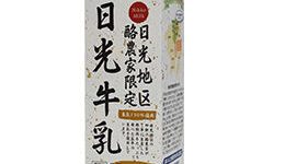 【東方】なんで妖精の名前って英語なの？