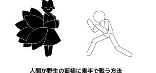 【東方】人間が野生の藍様に素手で戦う方法