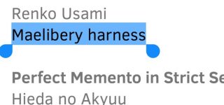 【東方】メリーの英語表記は『Maelibery harness』なの？