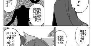 【東方】蛮奇ちゃんを傷つけずに迷惑行為をやめさせる方法